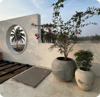 Patio view
